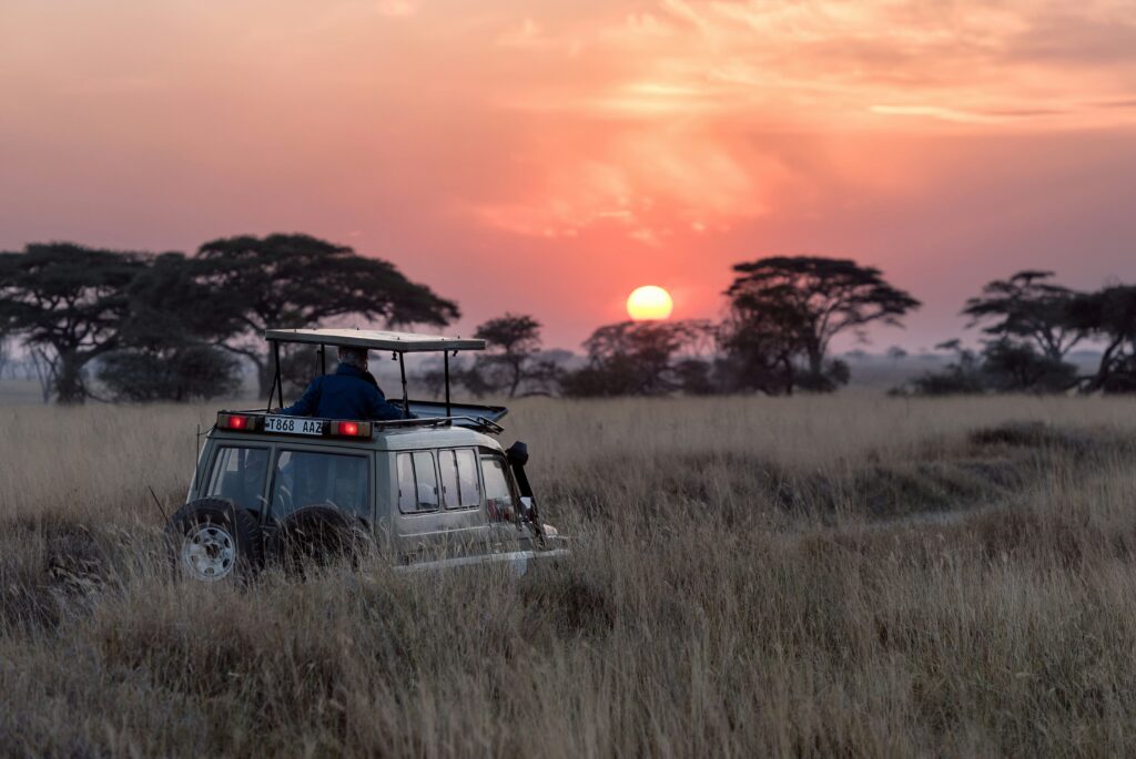 safari afrique du sud depuis la réunion